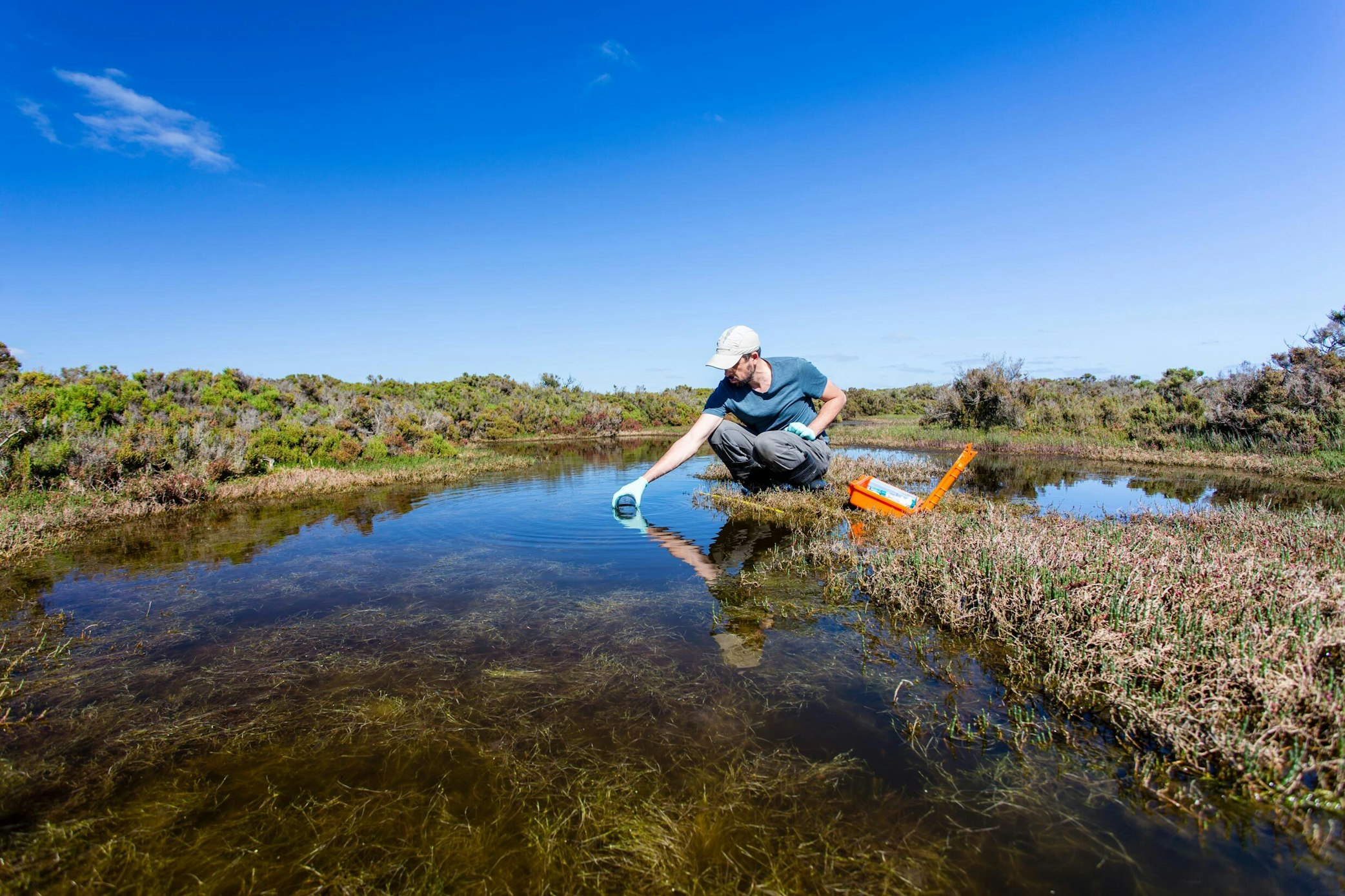 Collecting environmental sample