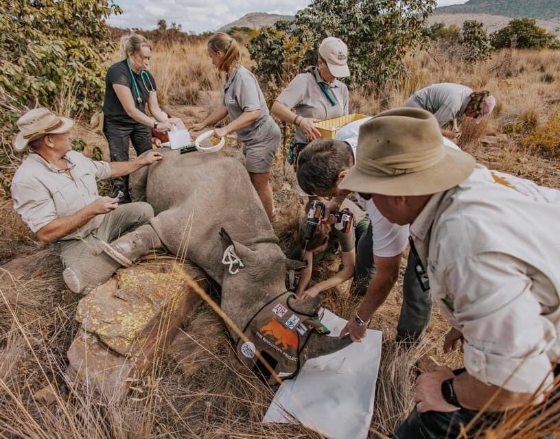 Rhisotope rhino conservation listing