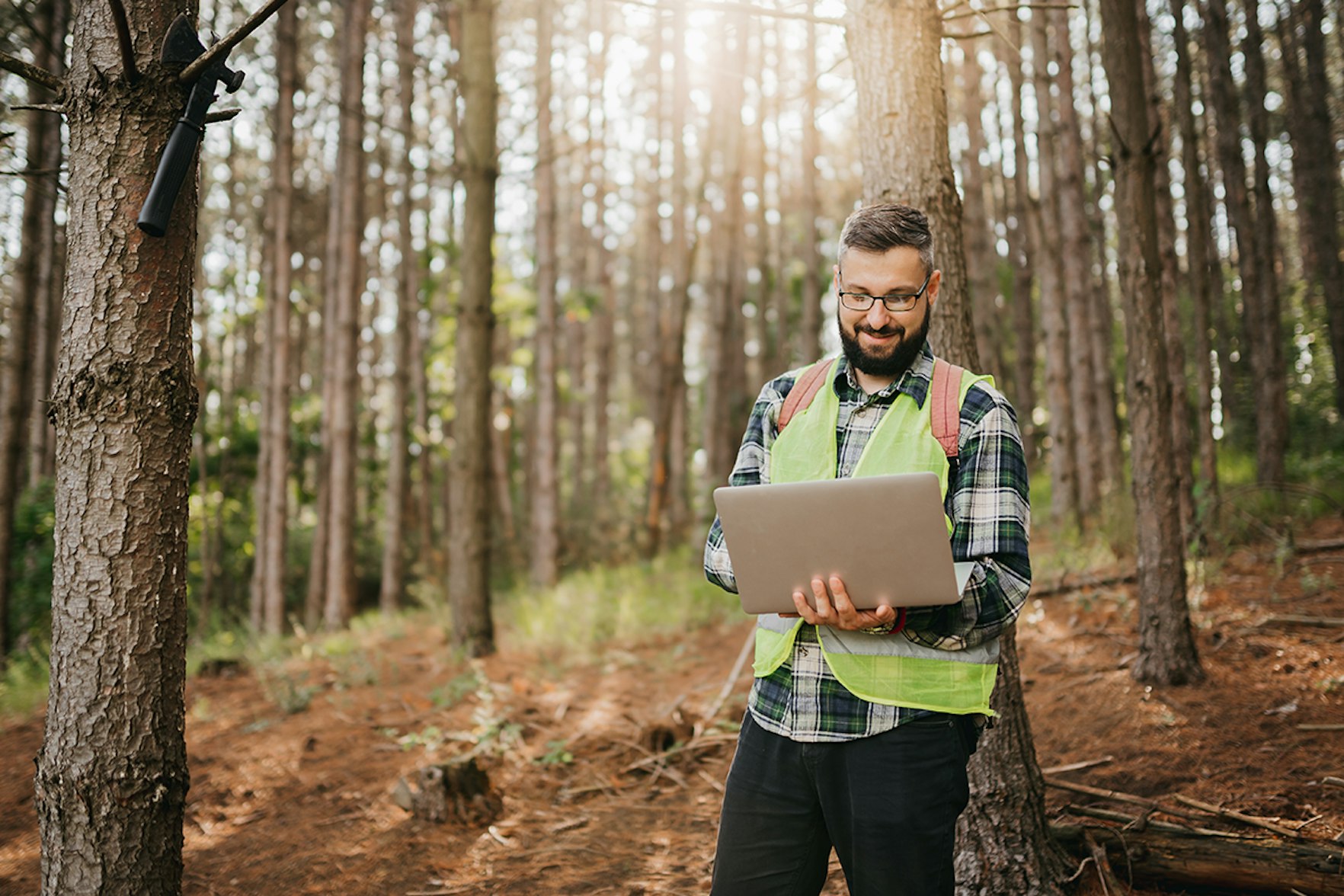 Man standing in woods working