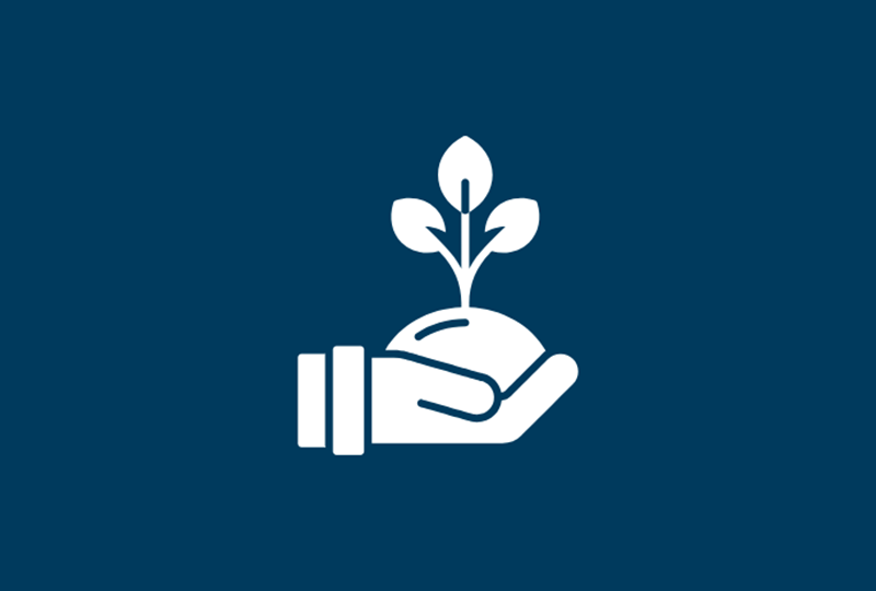 Hand holding plant icon environmental safety