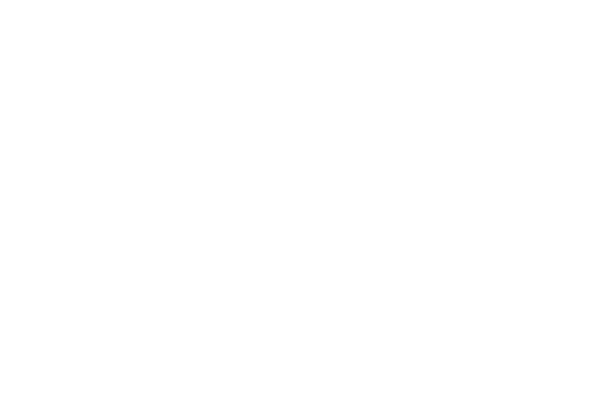 Icon detective