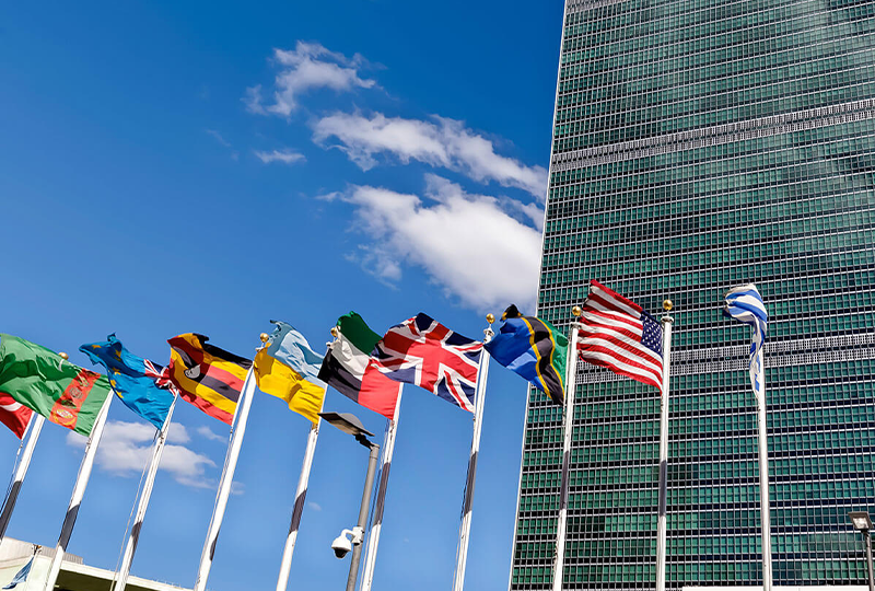 Critical infrastructure security flags