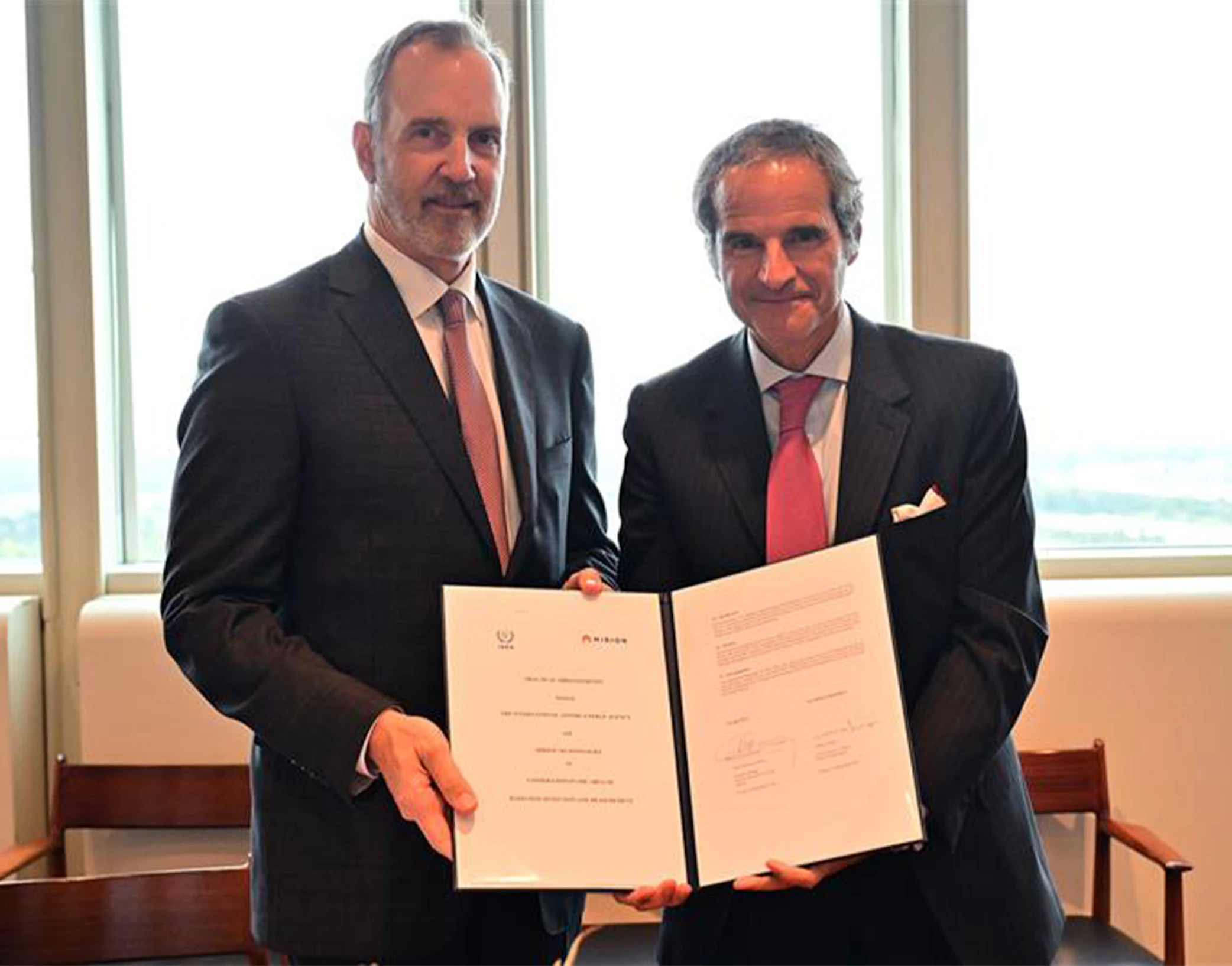 Iaea partnership