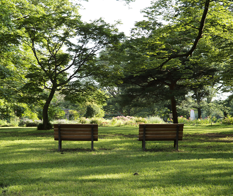 Japan careers benches